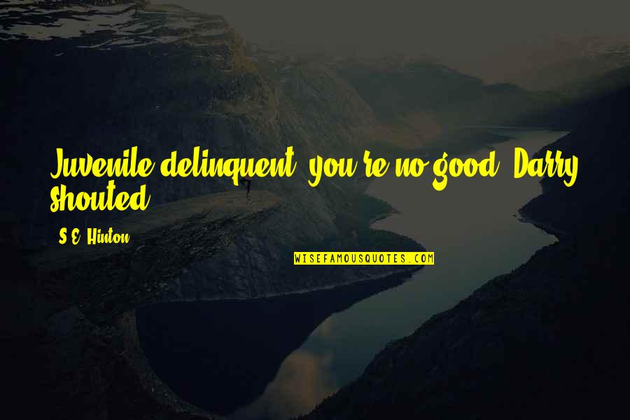 Hinton's Quotes By S.E. Hinton: Juvenile delinquent, you're no good! Darry shouted.