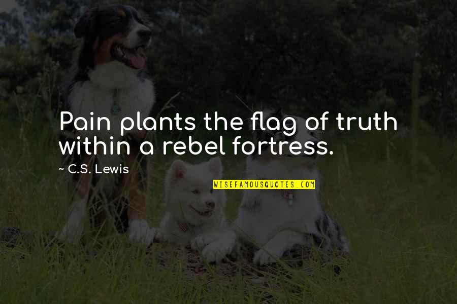 Hioh Lets Go Quotes By C.S. Lewis: Pain plants the flag of truth within a