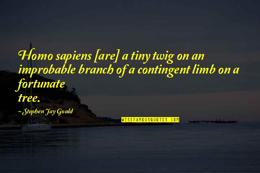 Hiotis Louis Quotes By Stephen Jay Gould: Homo sapiens [are] a tiny twig on an