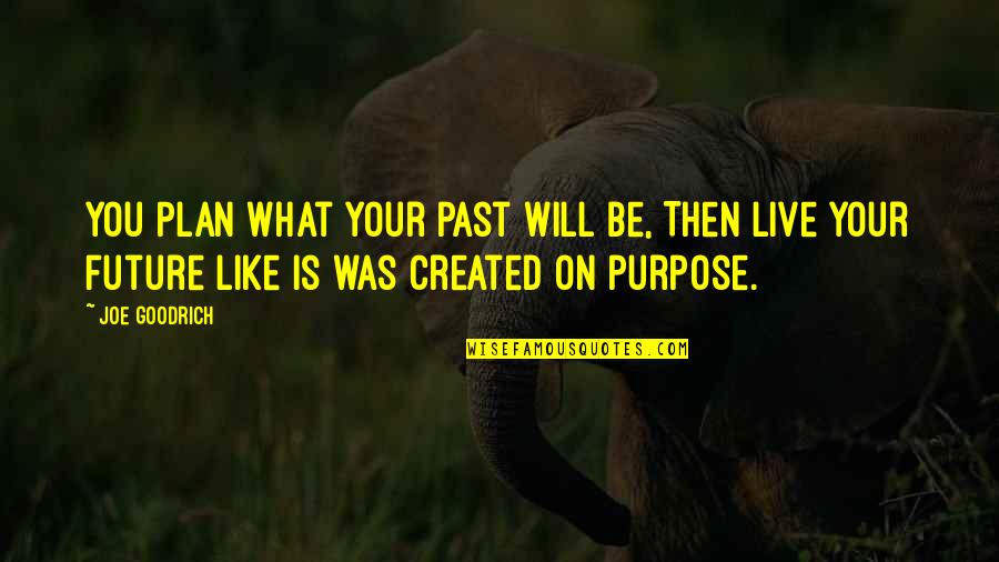 Hipbone Quotes By Joe Goodrich: You Plan what your past will be, Then Hipbone Quotes By Joe Goodrich: You Plan what your past will be, Then