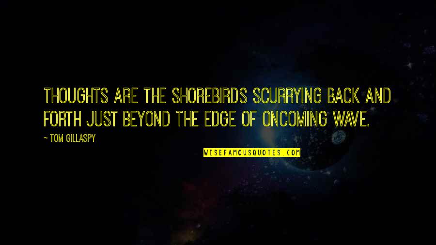 Hipnose De Palco Quotes By Tom Gillaspy: Thoughts are the shorebirds scurrying back and forth Hipnose De Palco Quotes By Tom Gillaspy: Thoughts are the shorebirds scurrying back and forth