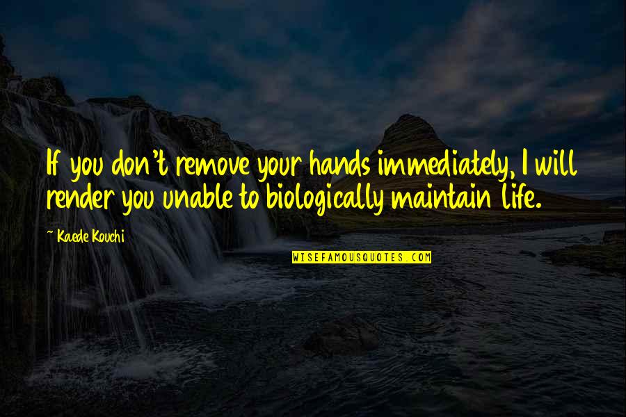 Hippe Schoentjes Quotes By Kaede Kouchi: If you don't remove your hands immediately, I