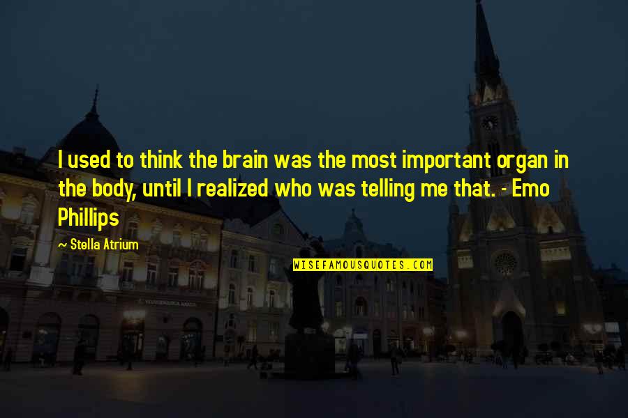 Hippeau Lerer Quotes By Stella Atrium: I used to think the brain was the Hippeau Lerer Quotes By Stella Atrium: I used to think the brain was the