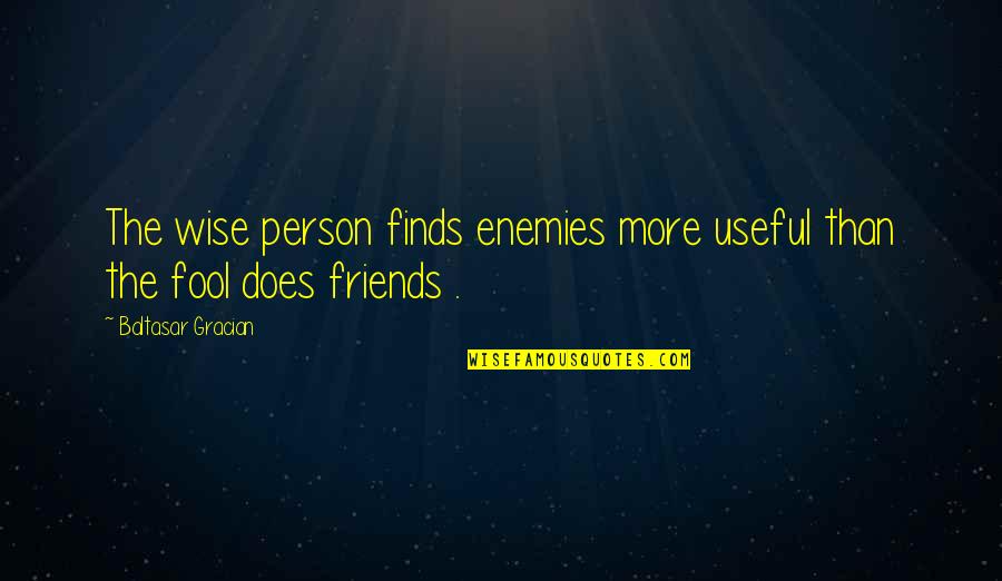 Hippest Quotes By Baltasar Gracian: The wise person finds enemies more useful than