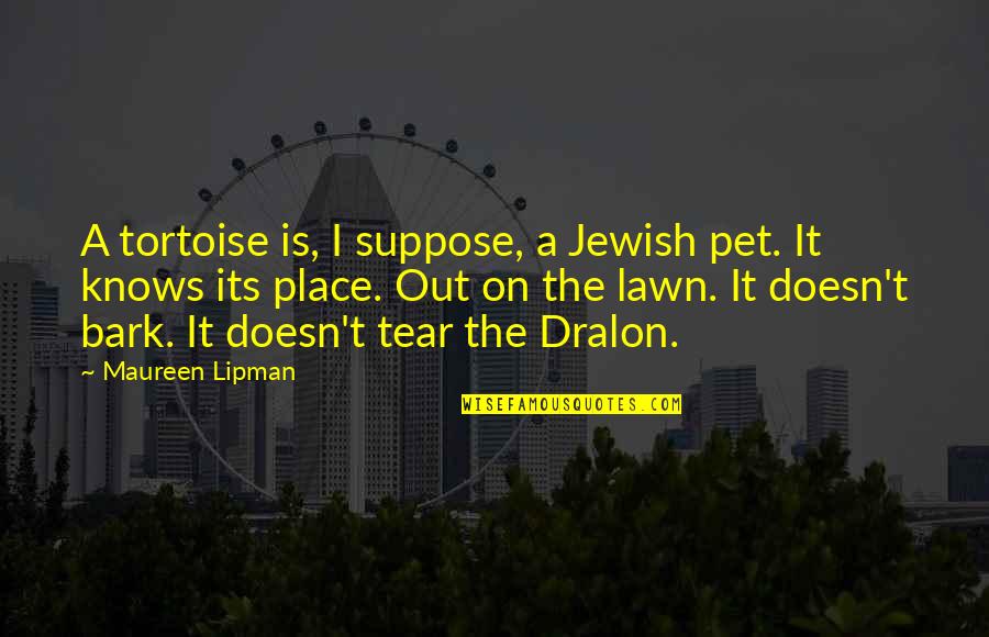 Hippie Clothes Quotes By Maureen Lipman: A tortoise is, I suppose, a Jewish pet.