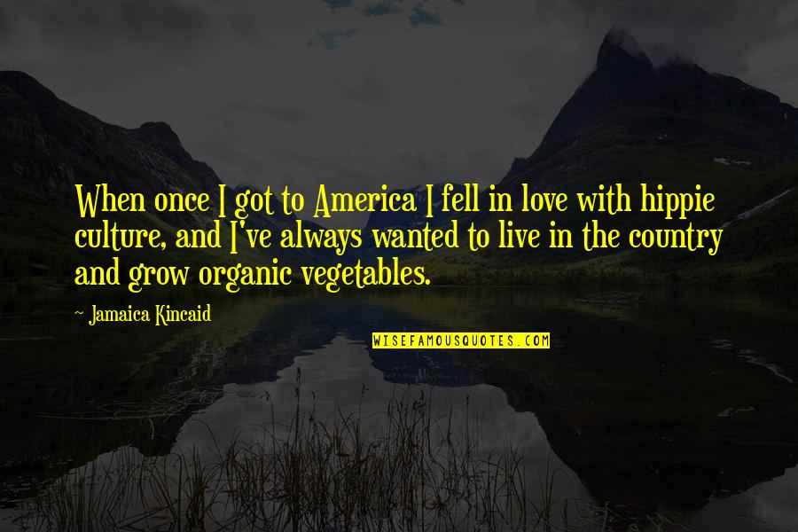 Hippie Love Quotes By Jamaica Kincaid: When once I got to America I fell