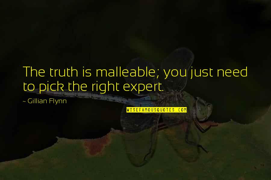 Hippocratic Oath Quotes By Gillian Flynn: The truth is malleable; you just need to