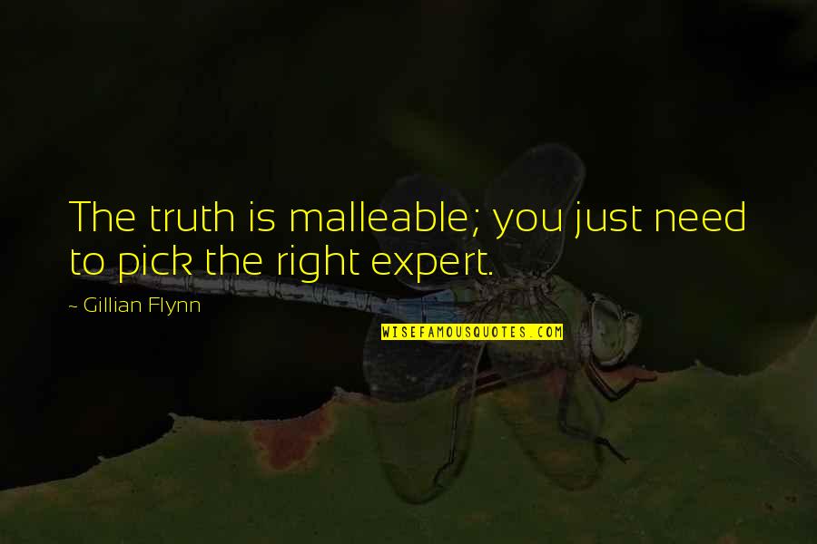 Hippocratic Oath Quotes By Gillian Flynn: The truth is malleable; you just need to Hippocratic Oath Quotes By Gillian Flynn: The truth is malleable; you just need to