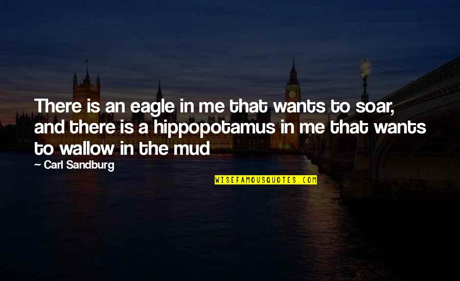Hippopotamus Quotes By Carl Sandburg: There is an eagle in me that wants