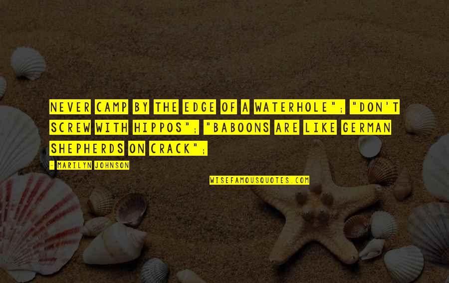 Hippos Quotes By Marilyn Johnson: Never camp by the edge of a waterhole"; Hippos Quotes By Marilyn Johnson: Never camp by the edge of a waterhole";