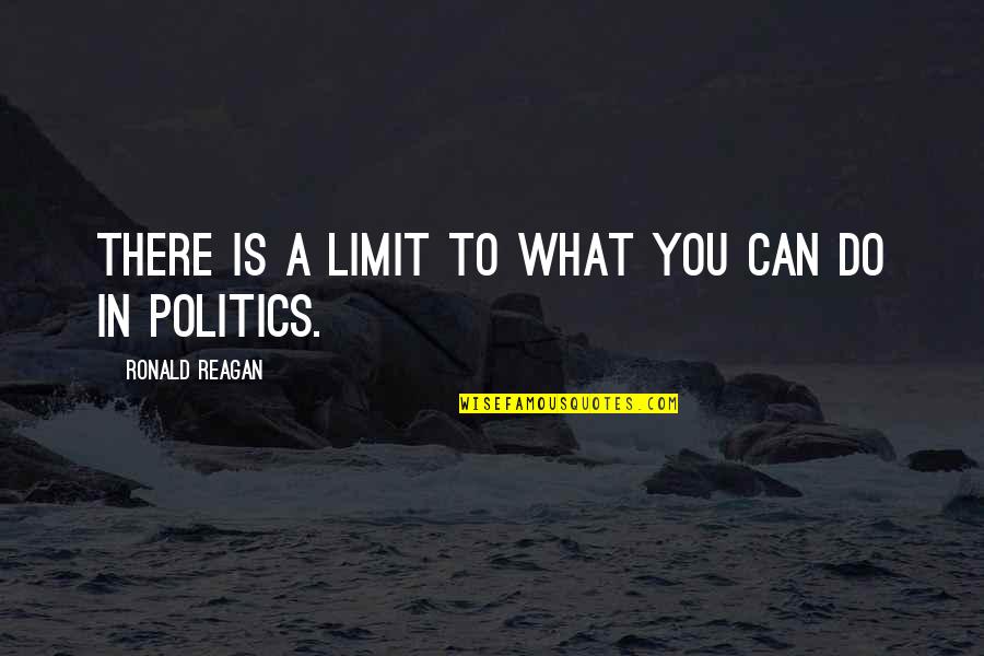 Hippy Dippy Weatherman Quotes By Ronald Reagan: There is a limit to what you can Hippy Dippy Weatherman Quotes By Ronald Reagan: There is a limit to what you can