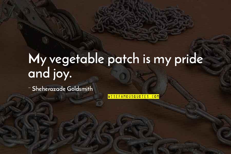 Hippy Dippy Weatherman Quotes By Sheherazade Goldsmith: My vegetable patch is my pride and joy. Hippy Dippy Weatherman Quotes By Sheherazade Goldsmith: My vegetable patch is my pride and joy.