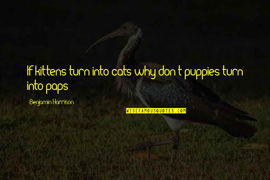 Hirako Quotes By Benjamin Harrison: If kittens turn into cats why don't puppies Hirako Quotes By Benjamin Harrison: If kittens turn into cats why don't puppies
