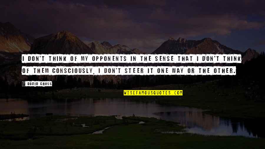 Hirawati Quotes By David Cross: I don't think of my opponents in the Hirawati Quotes By David Cross: I don't think of my opponents in the