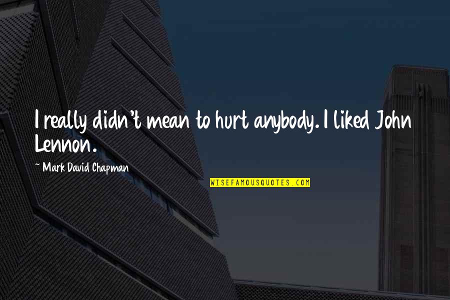 Hirji Mulji Quotes By Mark David Chapman: I really didn't mean to hurt anybody. I