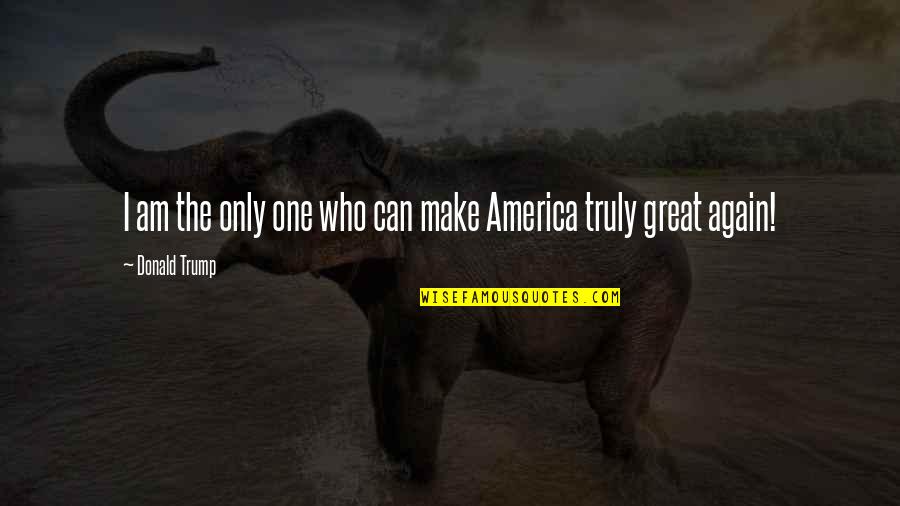 Hiro Hamada Quotes By Donald Trump: I am the only one who can make Hiro Hamada Quotes By Donald Trump: I am the only one who can make