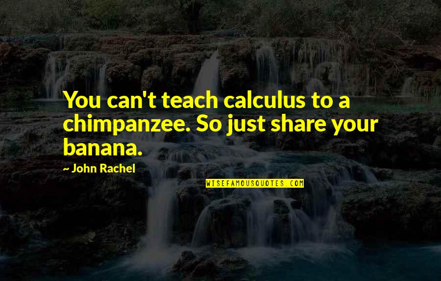Hirondelles Quotes By John Rachel: You can't teach calculus to a chimpanzee. So