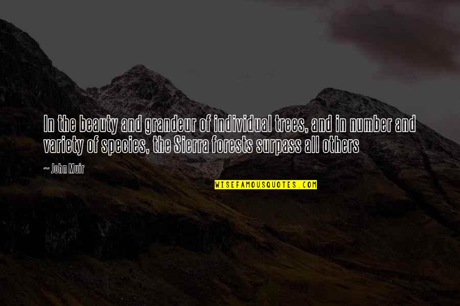 Hiroshige Quotes By John Muir: In the beauty and grandeur of individual trees, Hiroshige Quotes By John Muir: In the beauty and grandeur of individual trees,