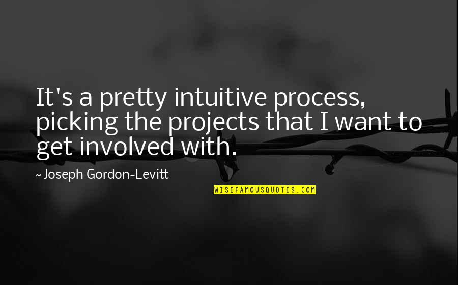 Hirota Supermercados Quotes By Joseph Gordon-Levitt: It's a pretty intuitive process, picking the projects