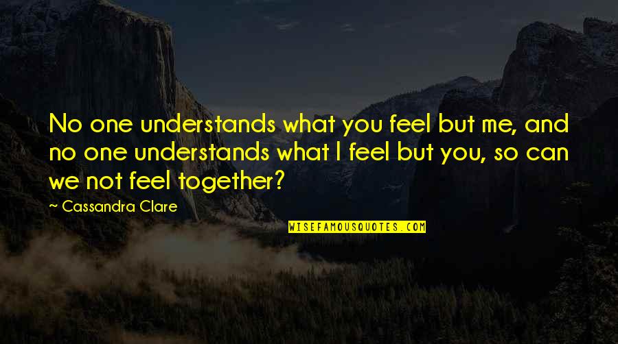 Hirschauer Hirschauer Quotes By Cassandra Clare: No one understands what you feel but me,