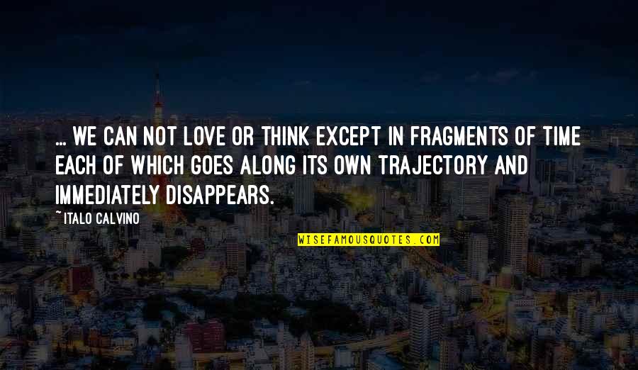 Hirschberg Schutz Quotes By Italo Calvino: ... we can not love or think except