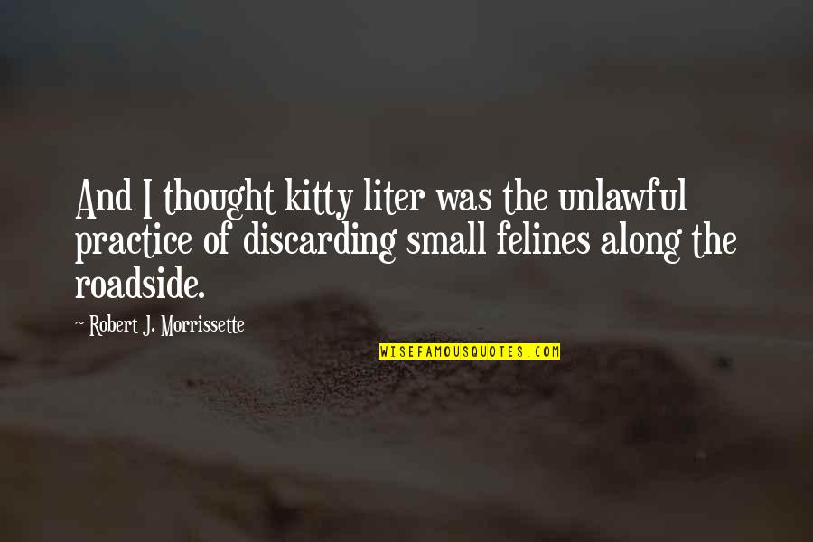 Hirtle Chart Quotes By Robert J. Morrissette: And I thought kitty liter was the unlawful