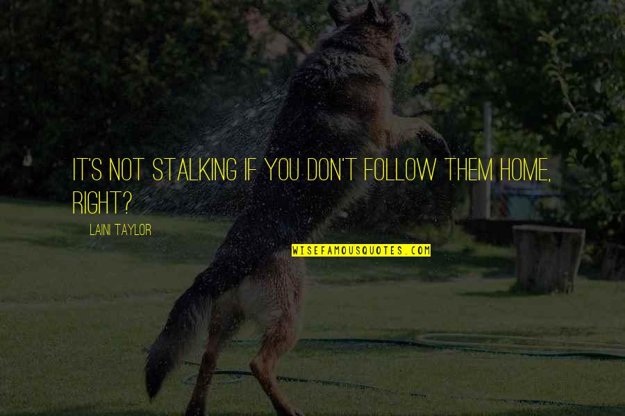 His Arms Around Me Quotes By Laini Taylor: It's not stalking if you don't follow them His Arms Around Me Quotes By Laini Taylor: It's not stalking if you don't follow them