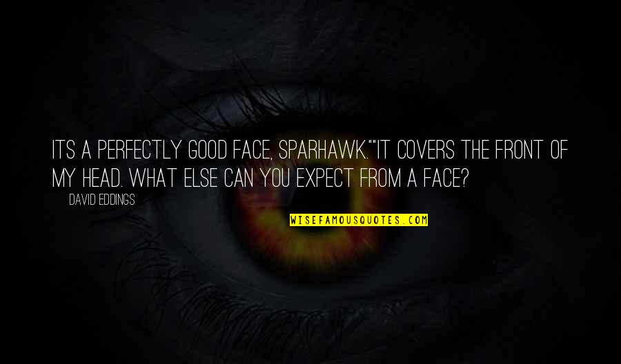 His Excellency Quotes By David Eddings: Its a perfectly good face, Sparhawk.""It covers the