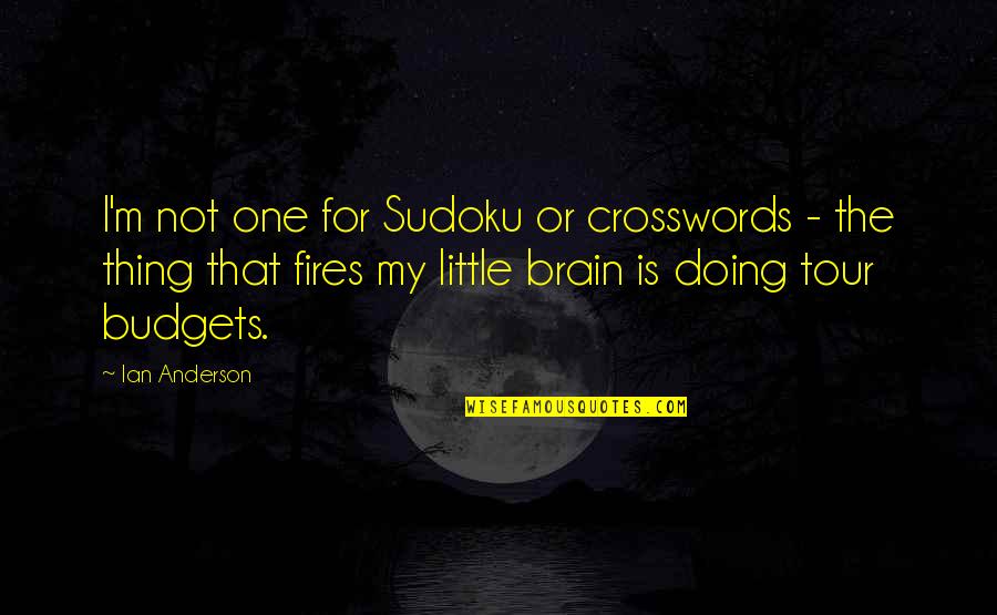 His Excellency Quotes By Ian Anderson: I'm not one for Sudoku or crosswords -