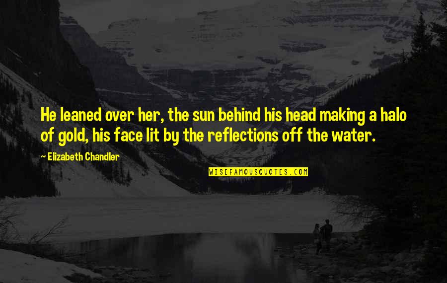 His Face Lit Quotes By Elizabeth Chandler: He leaned over her, the sun behind his