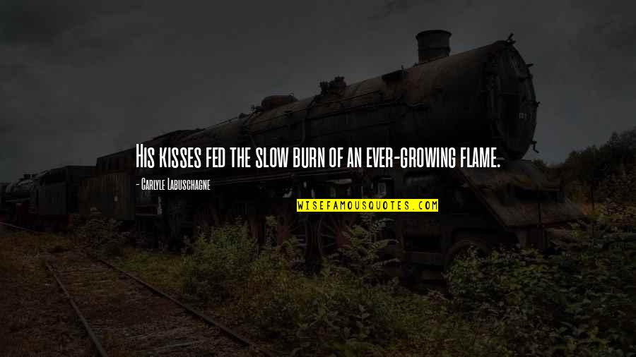 His Kisses Quotes By Carlyle Labuschagne: His kisses fed the slow burn of an