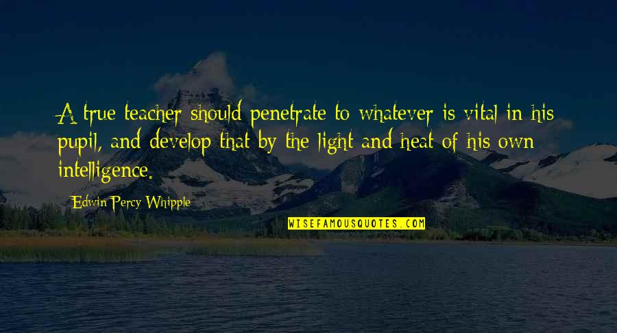 His Light Quotes By Edwin Percy Whipple: A true teacher should penetrate to whatever is