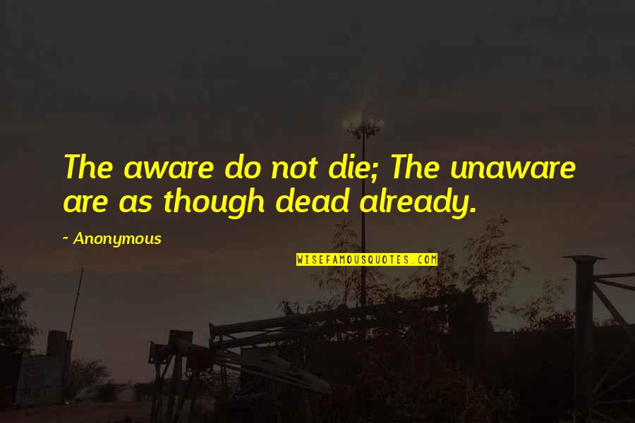 Hisayoshi Harasawas Age Quotes By Anonymous: The aware do not die; The unaware are