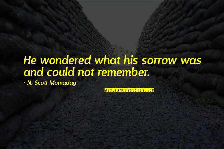 His'n Quotes By N. Scott Momaday: He wondered what his sorrow was and could