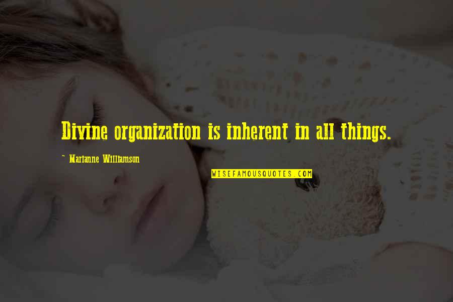 Hispanic Stereotypes Quotes By Marianne Williamson: Divine organization is inherent in all things.