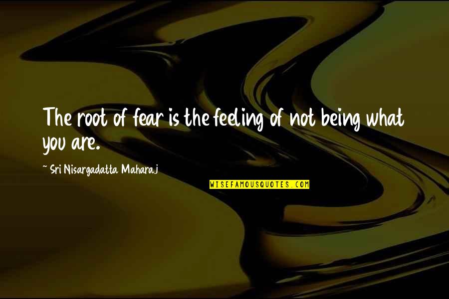 Hispanically Speaking Quotes By Sri Nisargadatta Maharaj: The root of fear is the feeling of