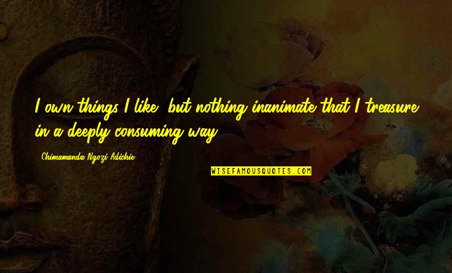 Hispanoamericano Ejemplo Quotes By Chimamanda Ngozi Adichie: I own things I like, but nothing inanimate Hispanoamericano Ejemplo Quotes By Chimamanda Ngozi Adichie: I own things I like, but nothing inanimate