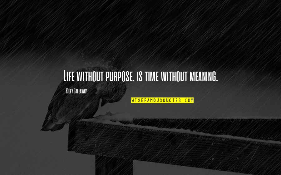 Histher Quotes By Kiley Callaway: Life without purpose, is time without meaning.