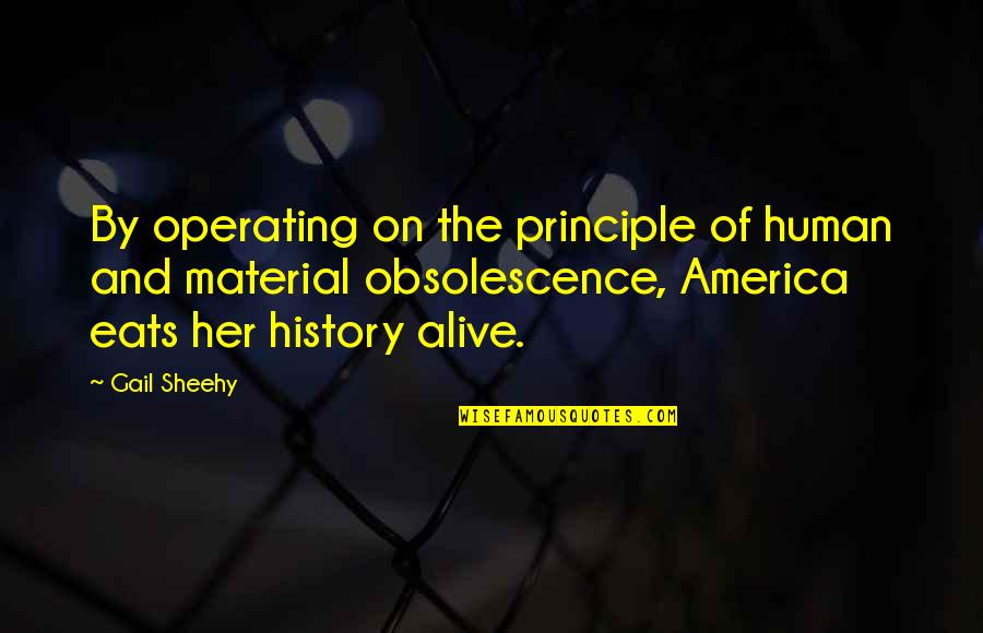 History Alive Quotes By Gail Sheehy: By operating on the principle of human and