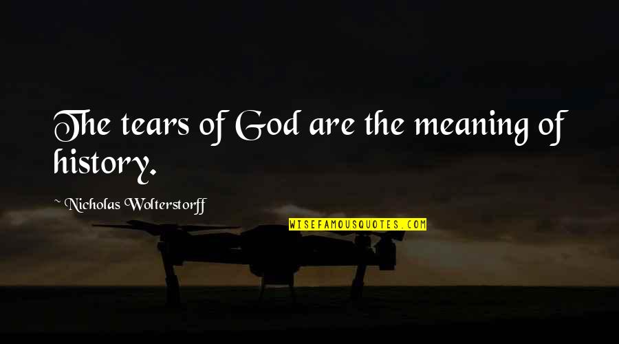 History And Its Meaning Quotes By Nicholas Wolterstorff: The tears of God are the meaning of