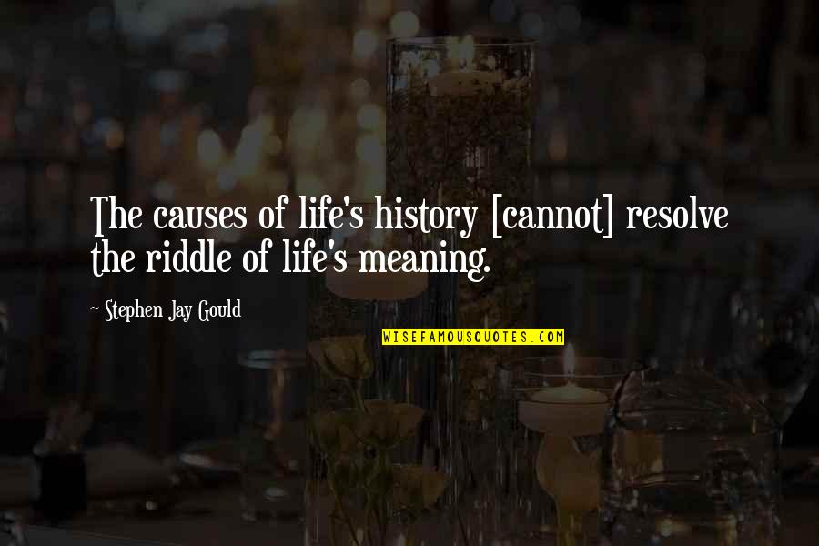 History And Its Meaning Quotes By Stephen Jay Gould: The causes of life's history [cannot] resolve the