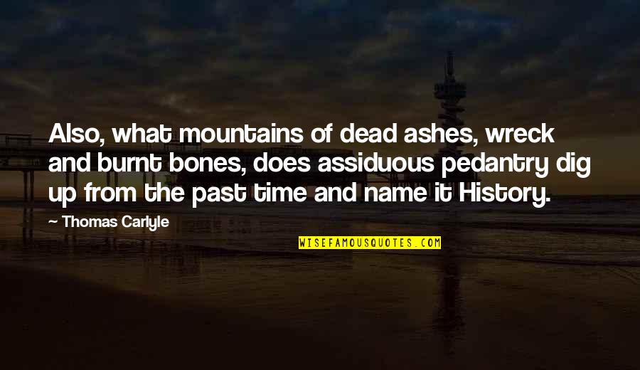 History And The Past Quotes By Thomas Carlyle: Also, what mountains of dead ashes, wreck and