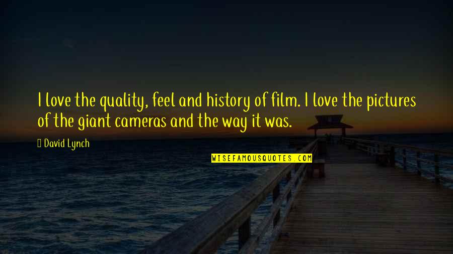 History Love Quotes By David Lynch: I love the quality, feel and history of