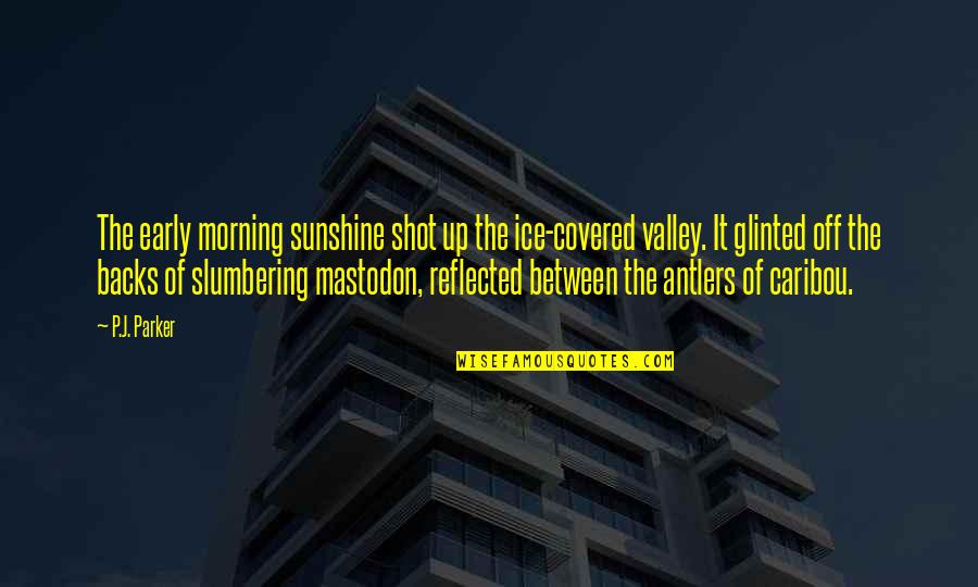 History Of Historical Quotes By P.J. Parker: The early morning sunshine shot up the ice-covered