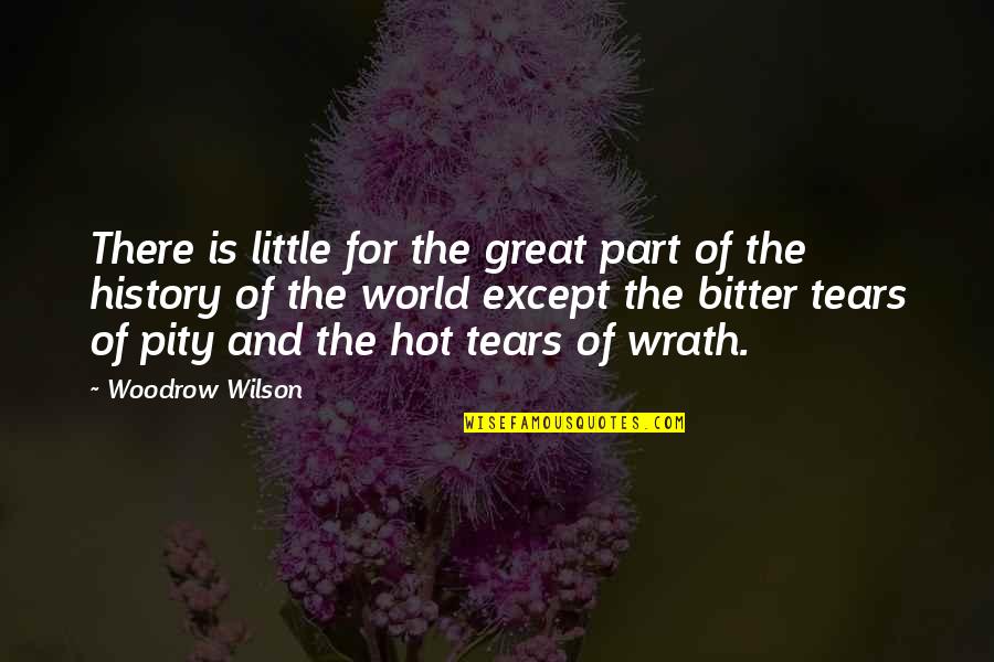 History Of The World Part 2 Quotes By Woodrow Wilson: There is little for the great part of