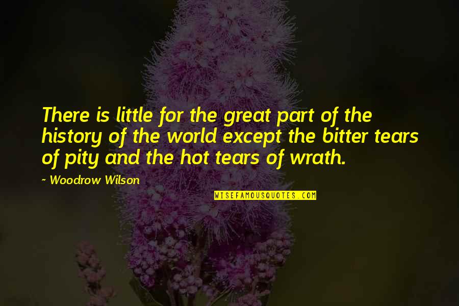 History Of The World Quotes By Woodrow Wilson: There is little for the great part of