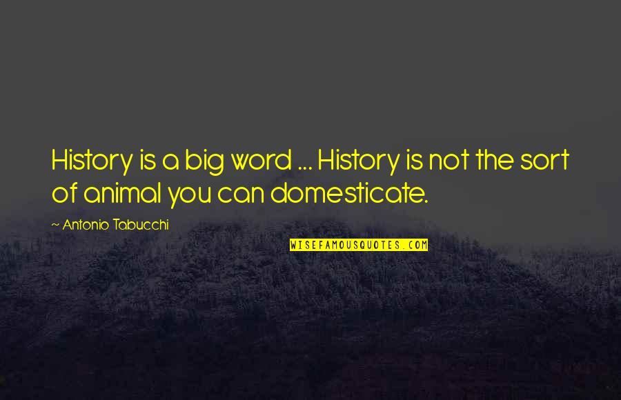 History Quotes By Antonio Tabucchi: History is a big word ... History is