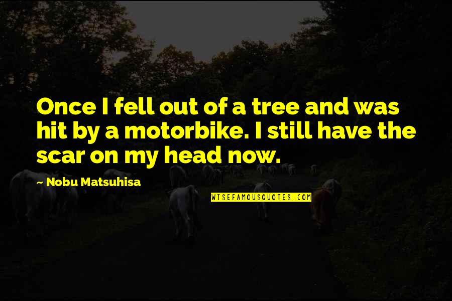 Hit My Head Quotes By Nobu Matsuhisa: Once I fell out of a tree and Hit My Head Quotes By Nobu Matsuhisa: Once I fell out of a tree and