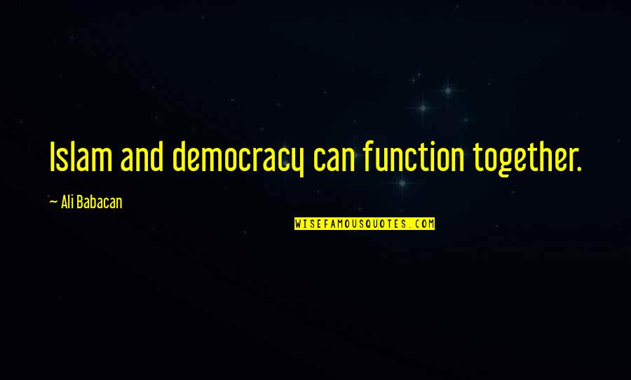 Hitchonson Quotes By Ali Babacan: Islam and democracy can function together. Hitchonson Quotes By Ali Babacan: Islam and democracy can function together.