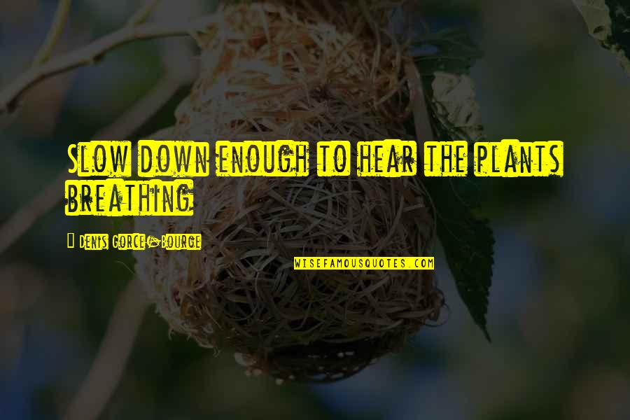 Hitek5000 Quotes By Denis Gorce-Bourge: Slow down enough to hear the plants breathing Hitek5000 Quotes By Denis Gorce-Bourge: Slow down enough to hear the plants breathing
